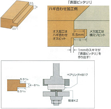 ハギ合せオスビット