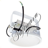 <a href="https://www.dogudoraku.com/catalog/product_info.php/products_id/170719">ハイスペックハイディスクLED100W(吊下型) 〔L100V2-P-HMW-50K-N〕 【乳白ワイド】光束17800Lm入力100V/200V兼用、電線長0.6m(切放し)</a>