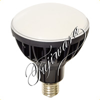 <a href="https://www.dogudoraku.com/catalog/product_info.php/products_id/170644">LED交換球ハイスペックエコピック50W(ワイド) 〔L50V2-J110BK-50K〕 【本体色：黒】光束6850Lm昼白色、口金E39〔入数1〕</a>