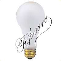 <a href="https://www.dogudoraku.com/catalog/product_info.php/products_id/36772">皮膜付防水電球【WPB-5H型用】 〔WP-100〕 100V100W口金サイズ26〔入数1〕</a>