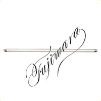 <a href="https://www.dogudoraku.com/catalog/product_info.php/products_id/36795">スリムフローライト用細管蛍光ランプ【12W用】 〔STR-12〕 12W口金サイズＧ5〔入数1〕</a>