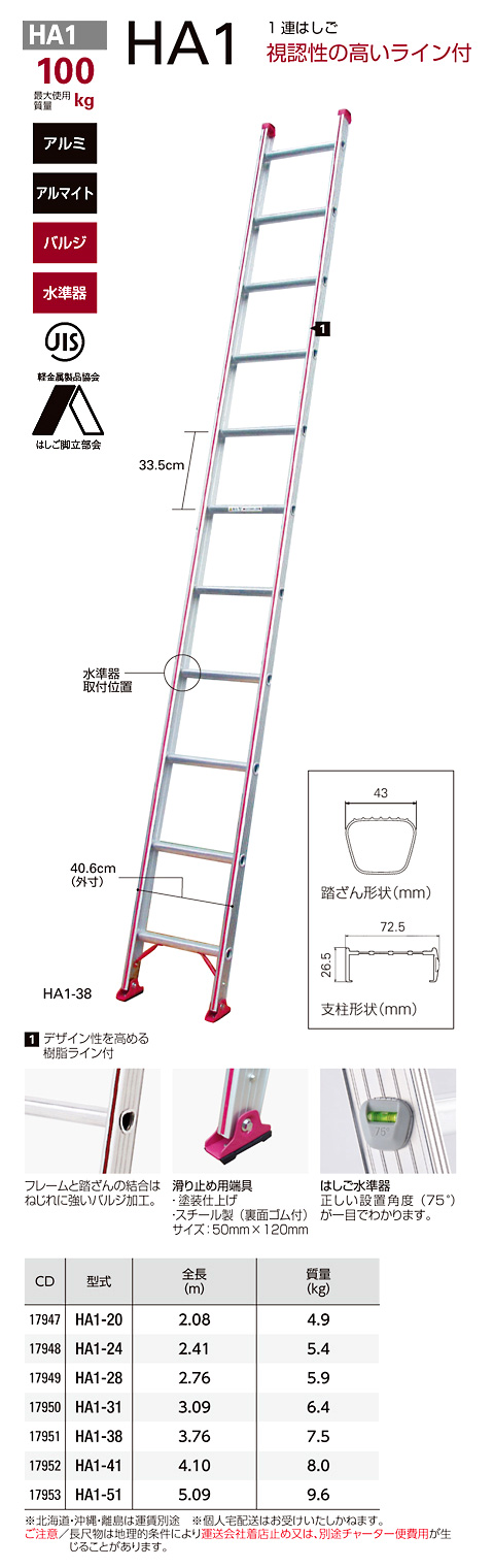 最大60%OFFクーポン 長谷川工業 ハセガワ 1連はしご HA1-41 17952