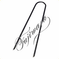 <a href="https://www.dogudoraku.com/catalog/product_info.php/products_id/180366">〔セフティー3〕U型ピンのみ(3.5mm×15cm)  〔10本入〕</a>