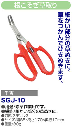 〔千吉〕根こそぎ草取り