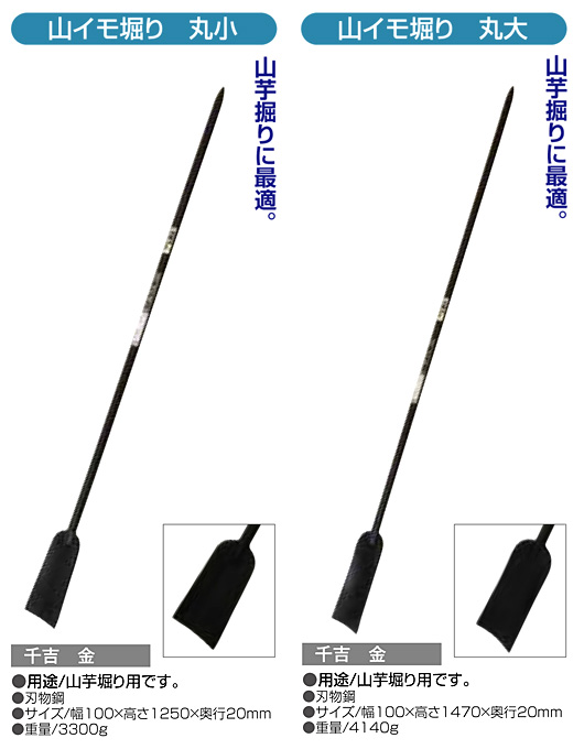 〔千吉 金〕山イモ堀り(丸)