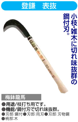 〔梅鉢龍馬〕登鎌　表抜