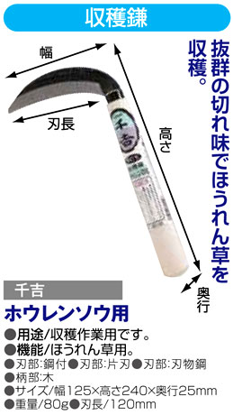 〔千吉〕収穫鎌　(ホウレンソウ用）