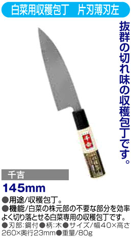〔千吉〕白菜用収穫包丁　片刃薄刃左