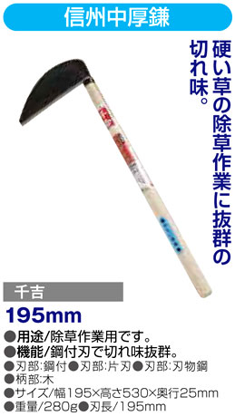 〔千吉〕信州中厚鎌