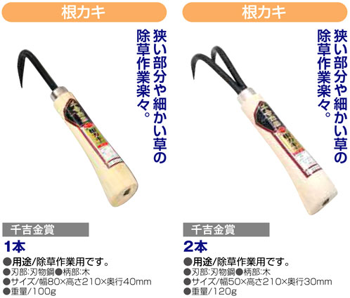〔千吉金賞〕根カキ