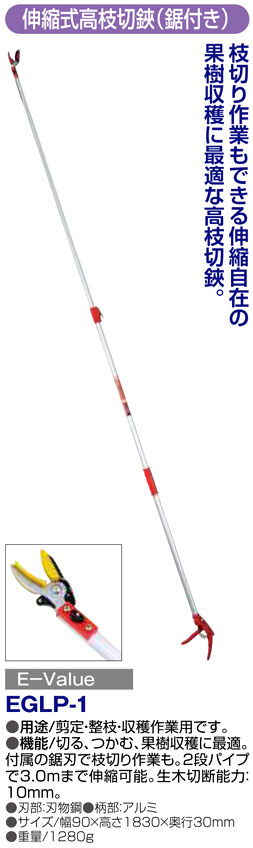〔E-Value〕伸縮式高枝切鋏（鋸刃付）