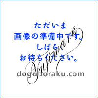 マキタ 自動溝突盤LG120用三面仕上替刃式カッタ A-13839 / 替刃 マキタ 自動溝突盤LG120用三面仕上替刃式カッタ A-13839 / 替刃