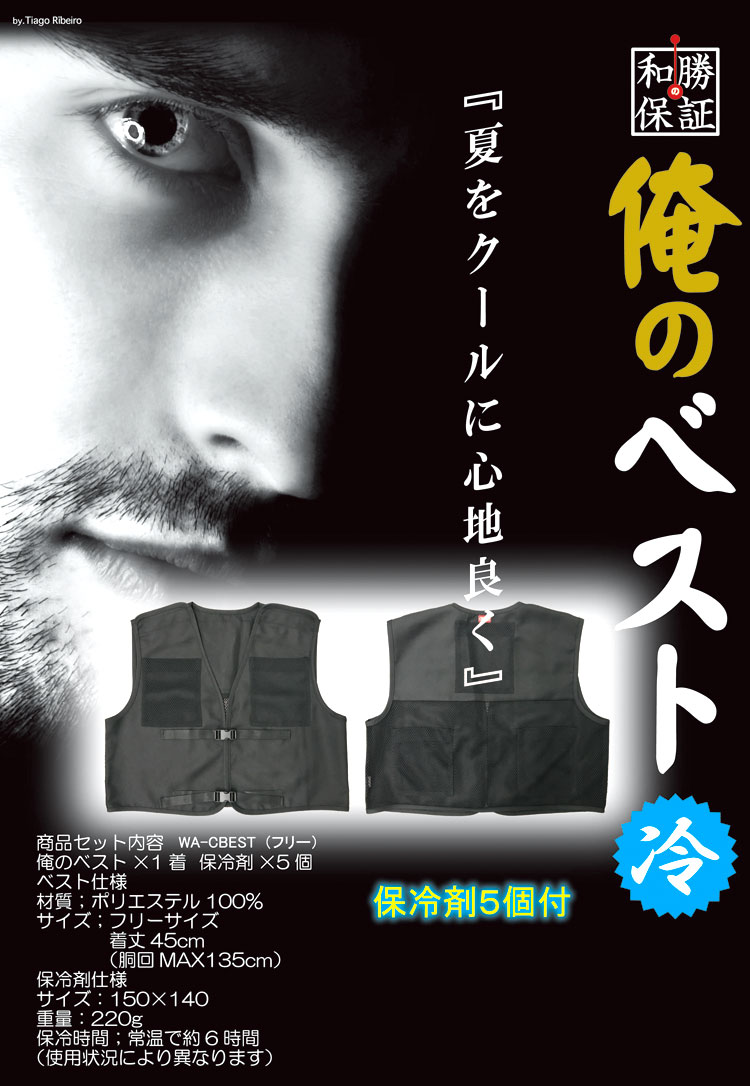 俺のベスト【冷】